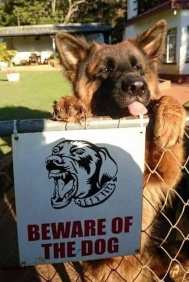 guard dog meme