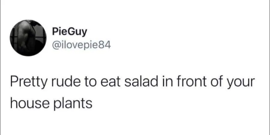 salad meme