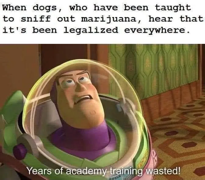 drug-sniffing dog meme