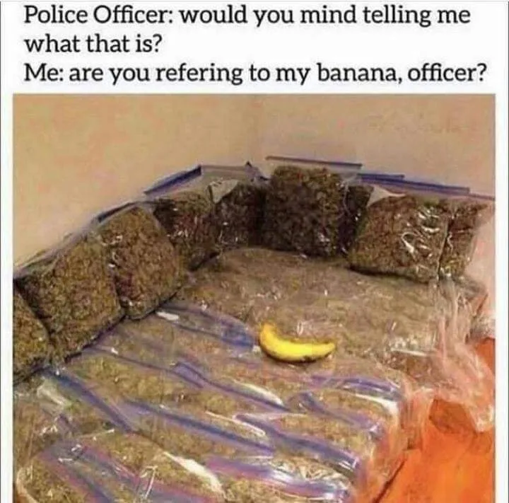 dealing drugs meme