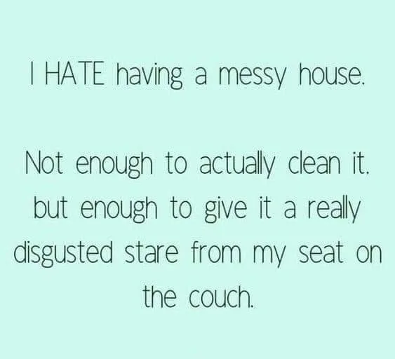house cleaning meme