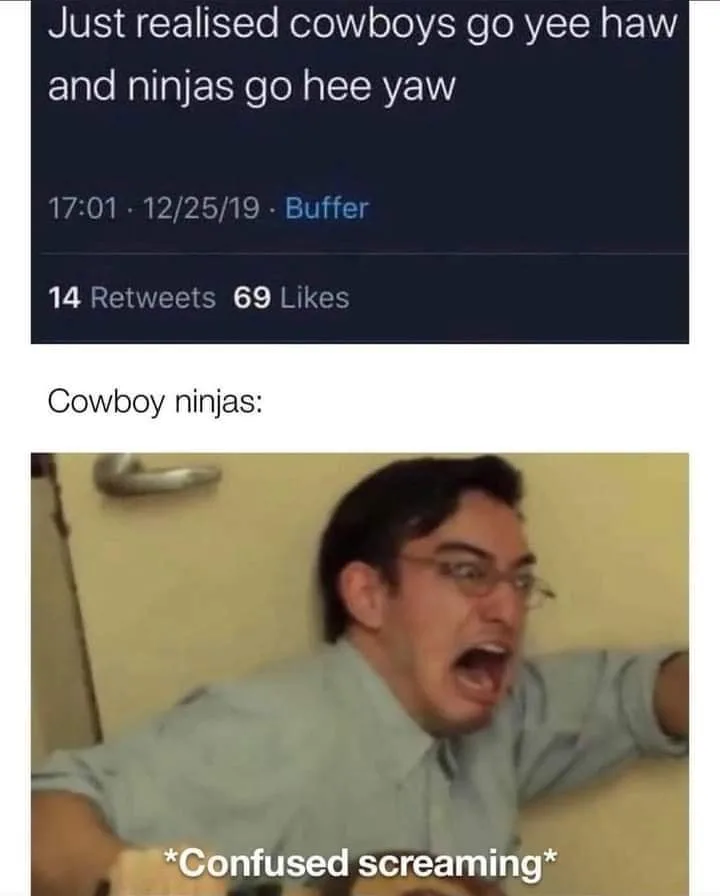 ninja meme