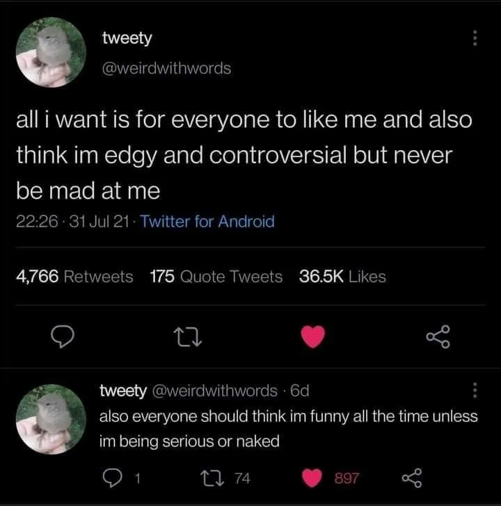 wanting to be liked meme