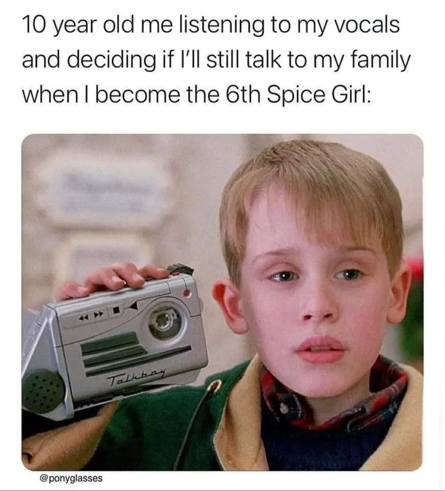 singer meme