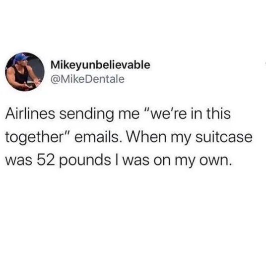 suitcase meme