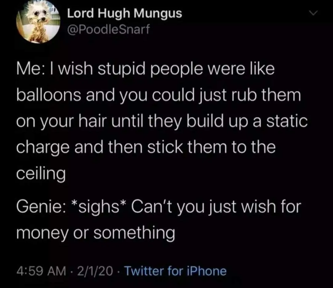 stupidity meme