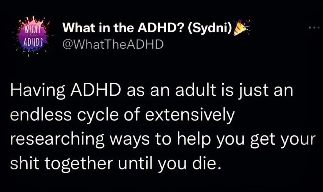 getting your shit together meme