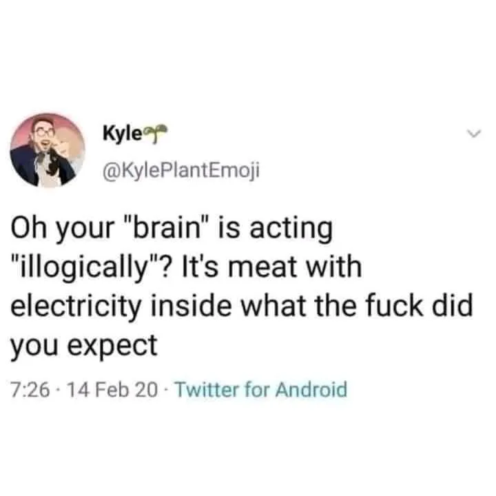 brain meme
