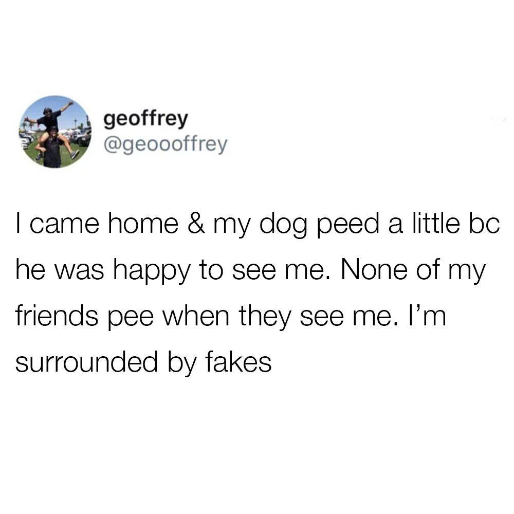 coming home meme