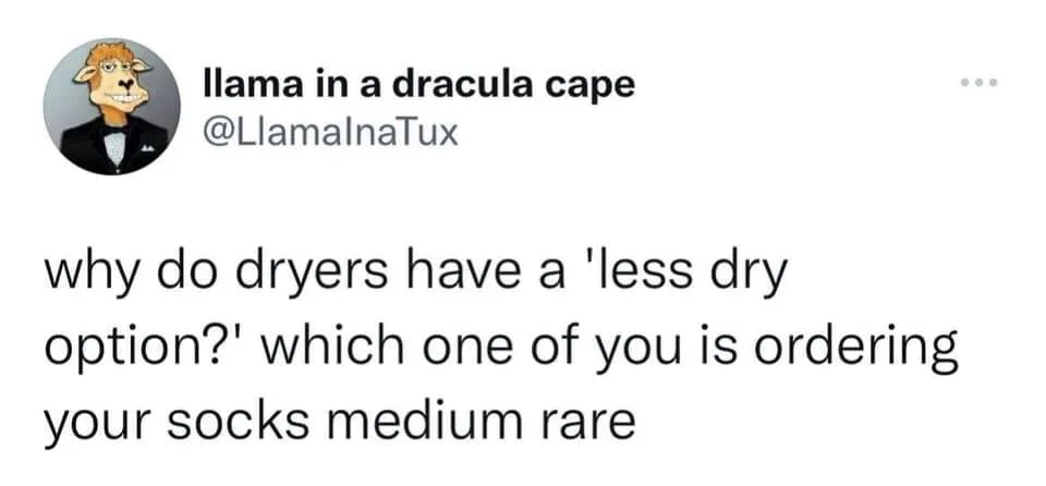 clothes dryer meme