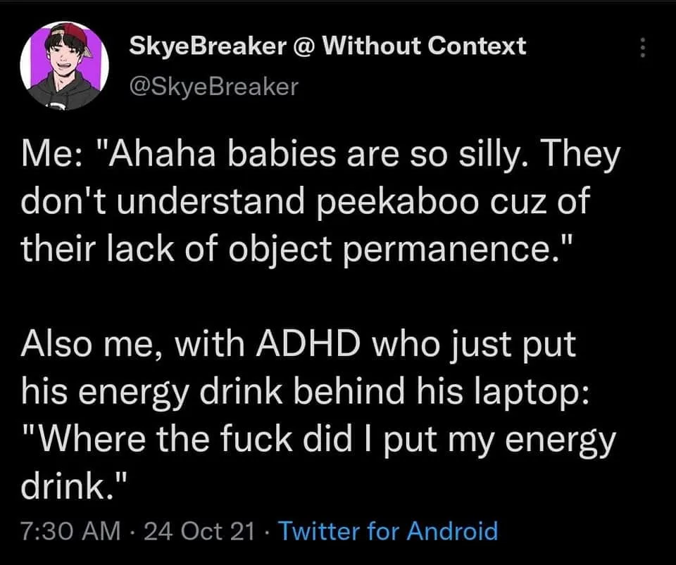 object permanence meme