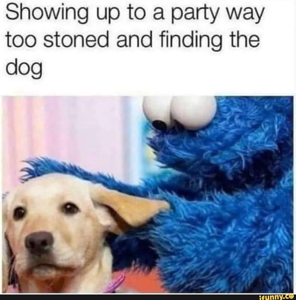 party meme