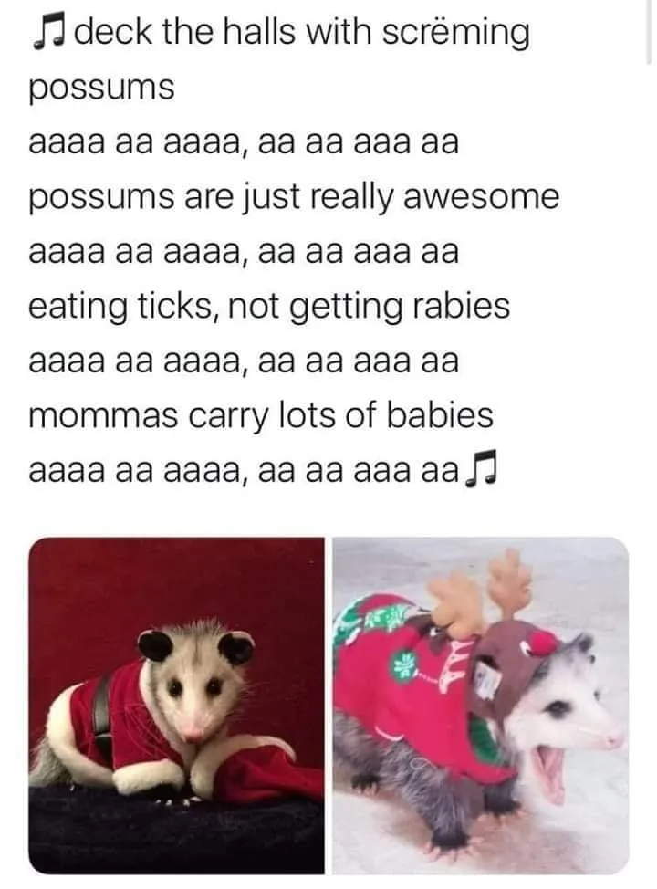 opossum meme