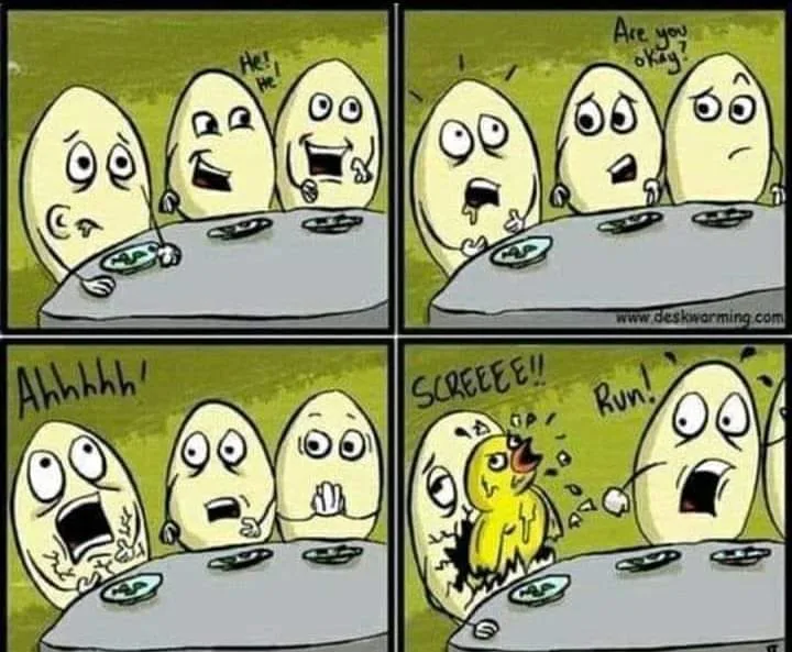 chicken meme