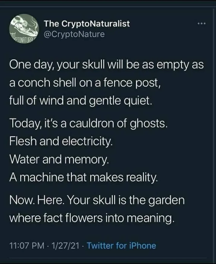 skull meme