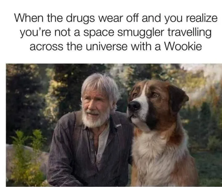 Han Solo meme