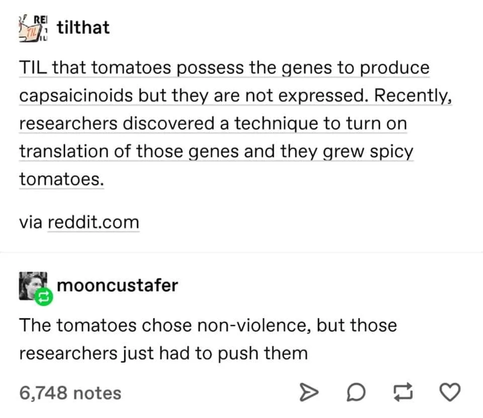 spicyness meme