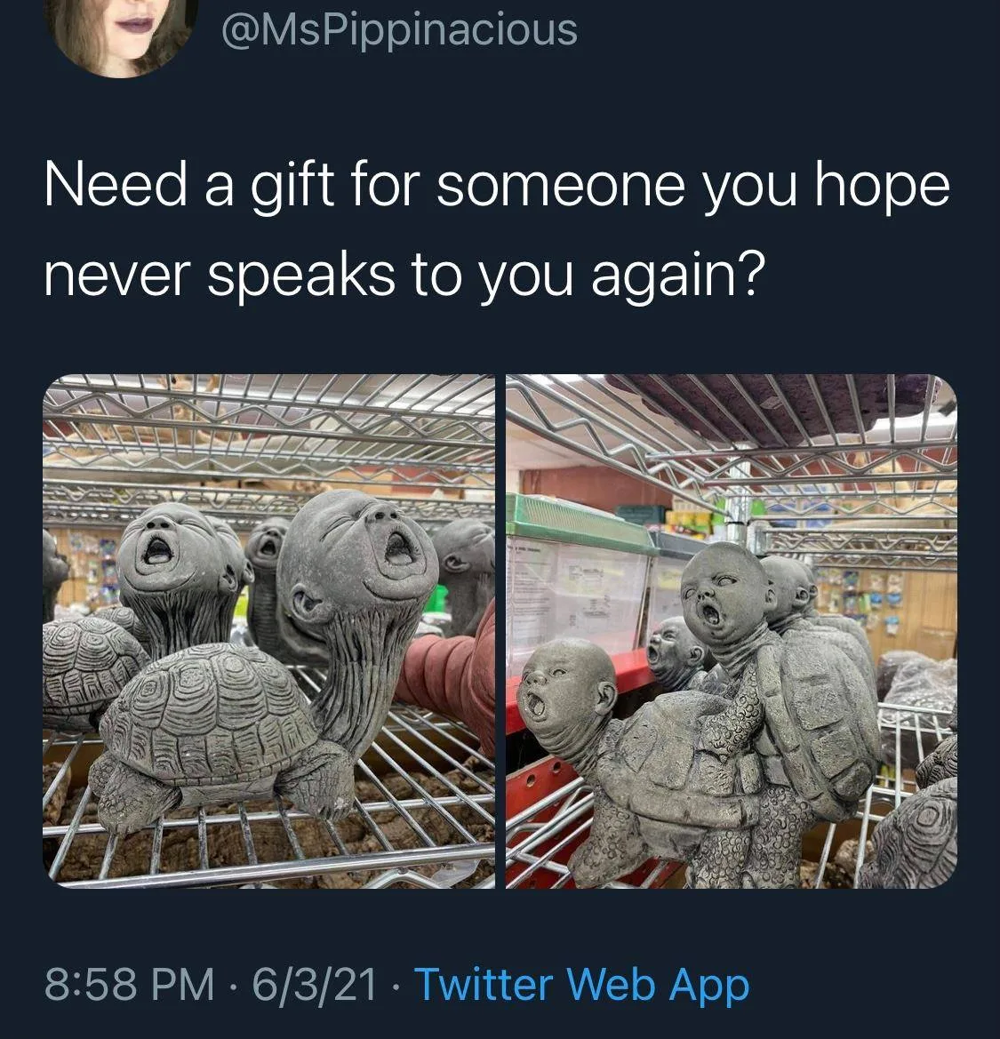 turtle meme