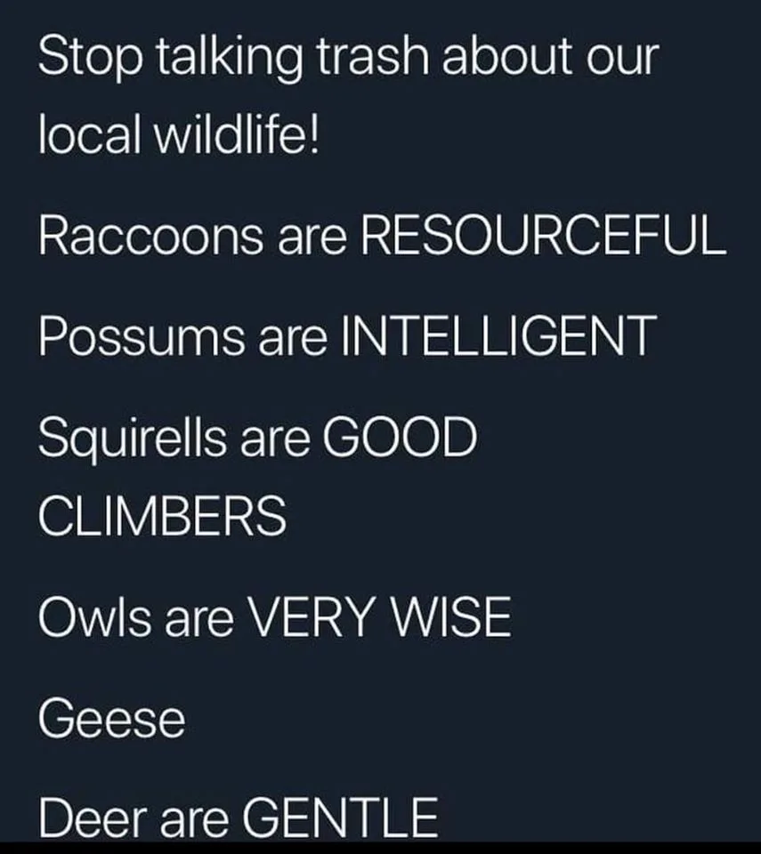 geese meme
