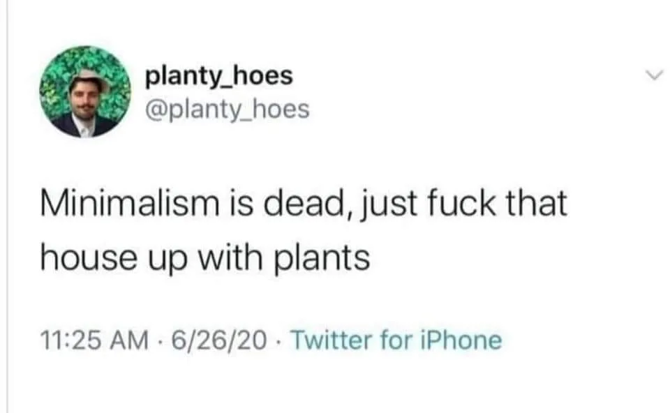 minimalism meme