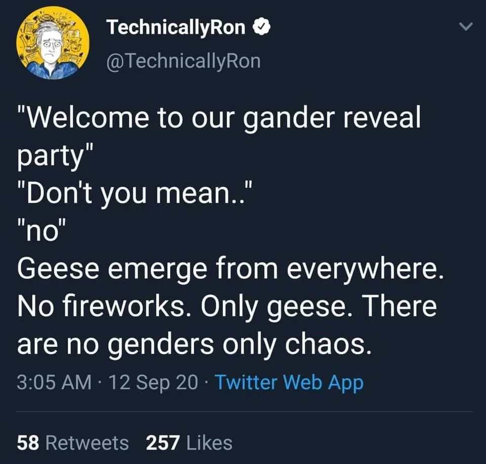 geese meme