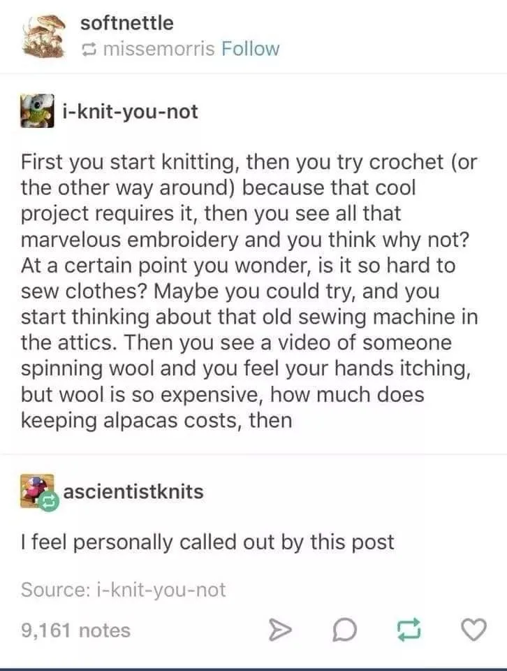 wool meme