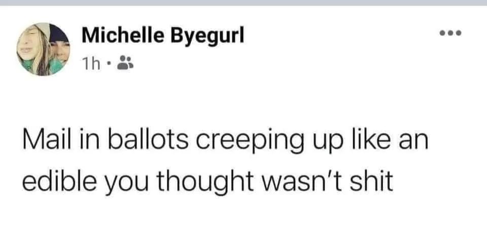 ballot meme