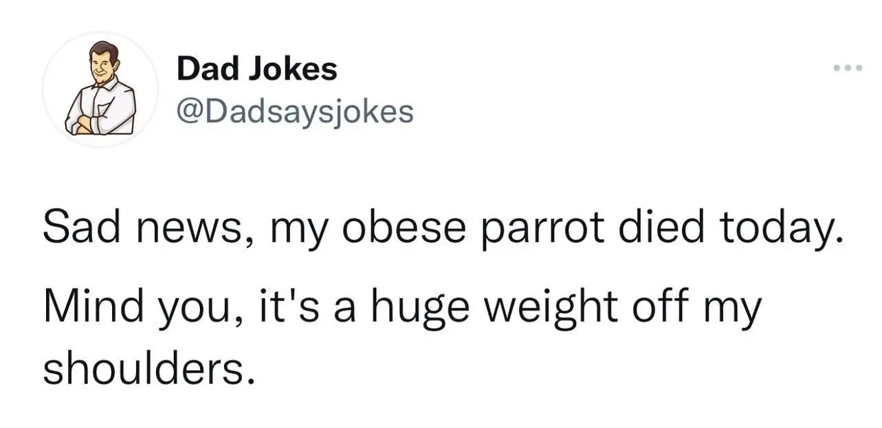 parrot meme