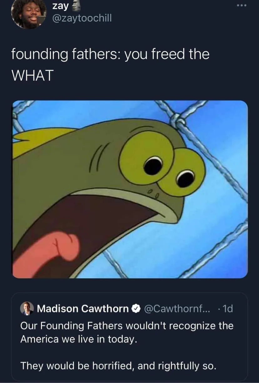 Constitution of the US meme