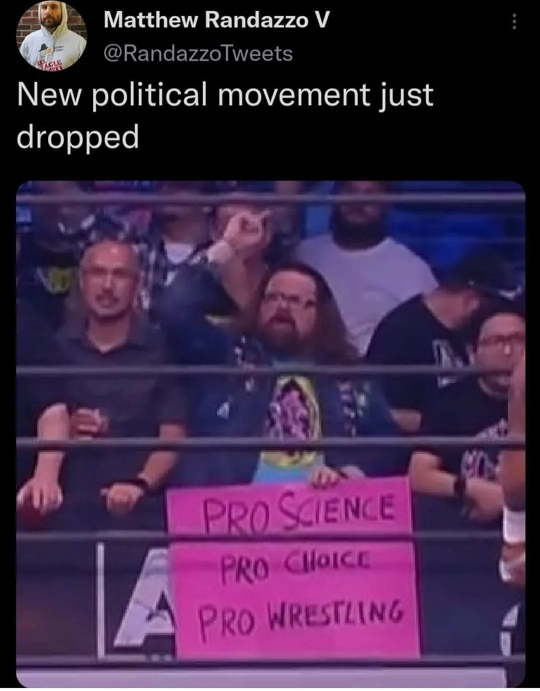 pro wrestling meme