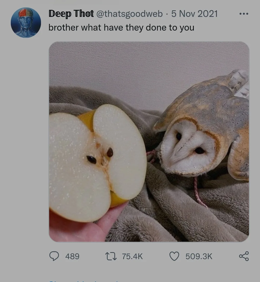 apple meme