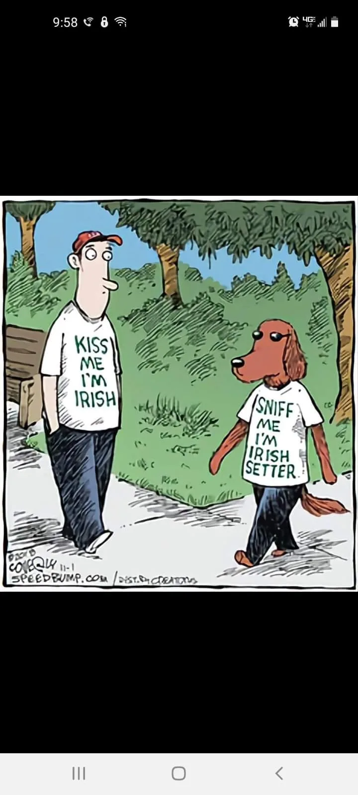 Irishman meme