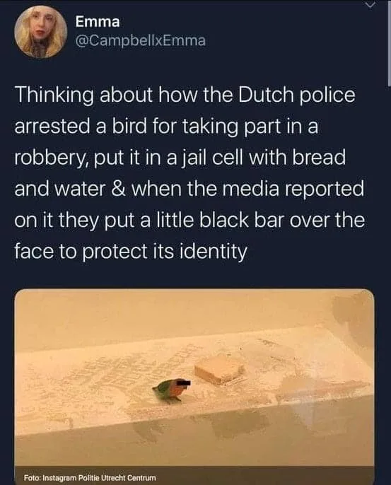 robbery meme