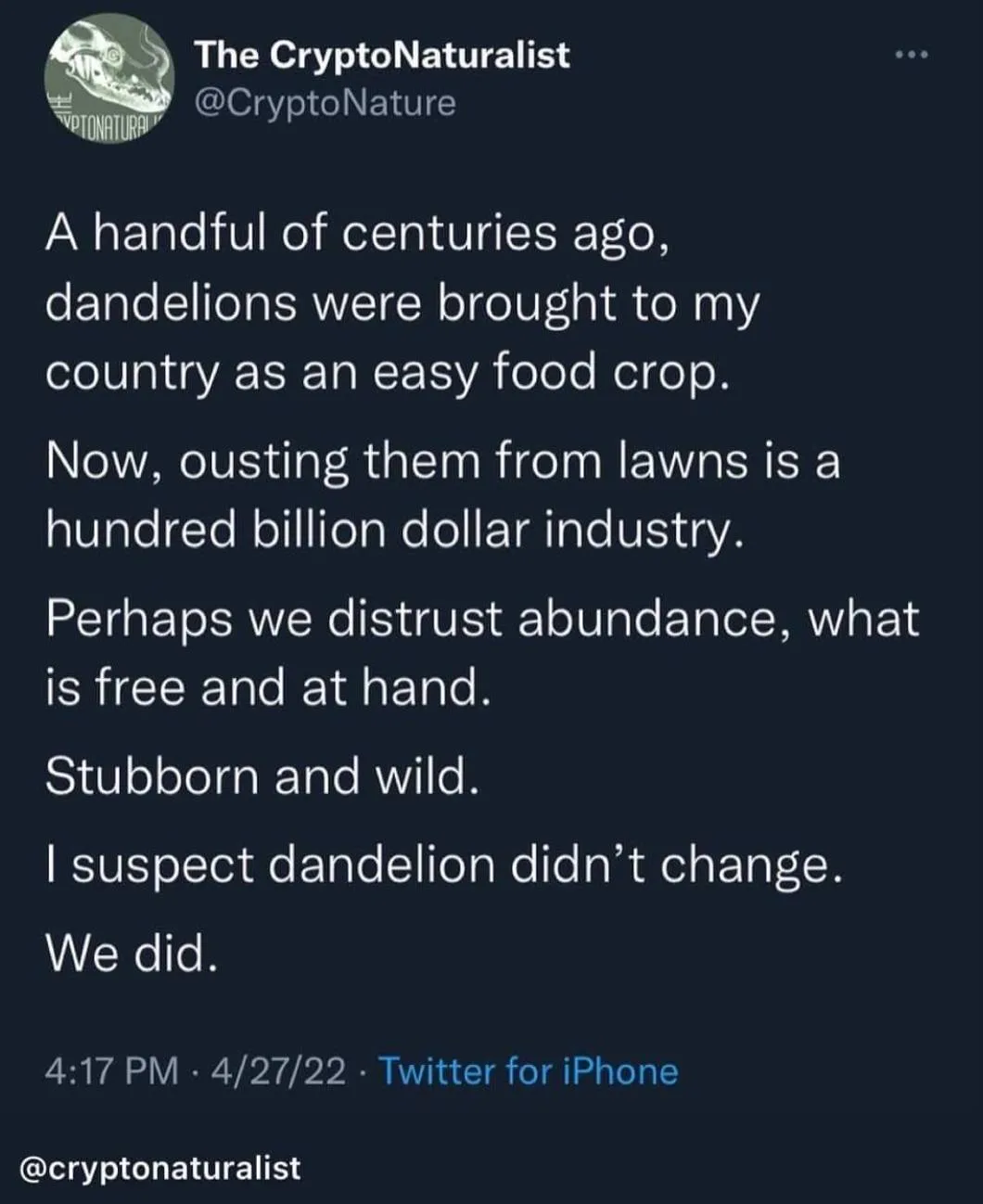 dandelion meme