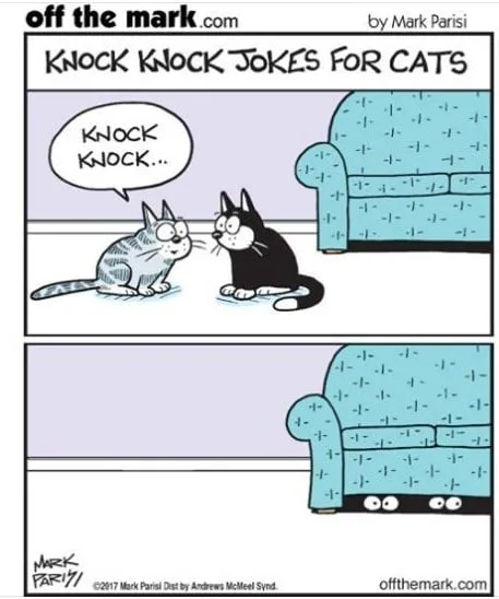 knock knock joke meme