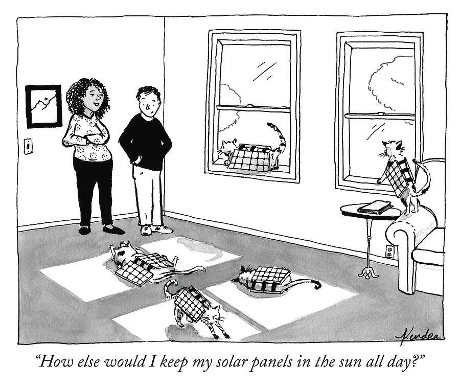 solar power meme