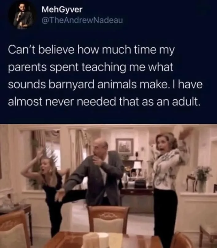 education meme