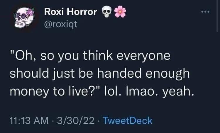 Universal Basic Income meme