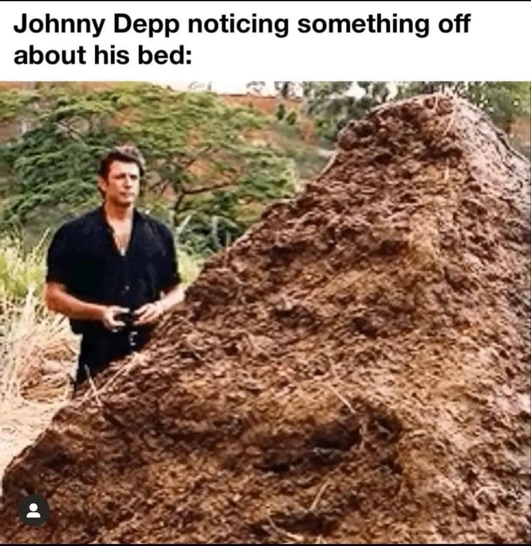 Johnny Depp meme