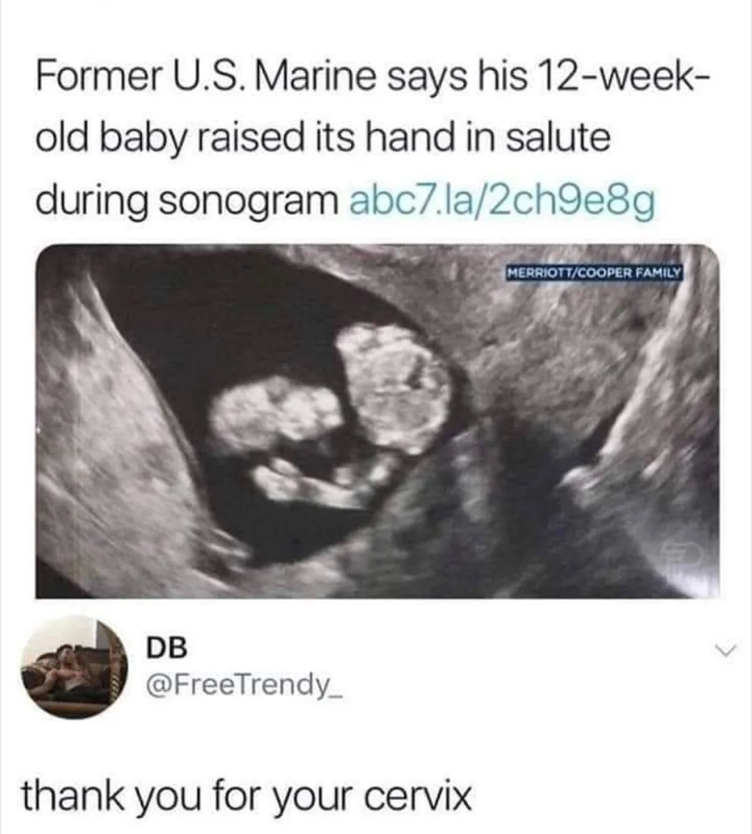 uterus meme