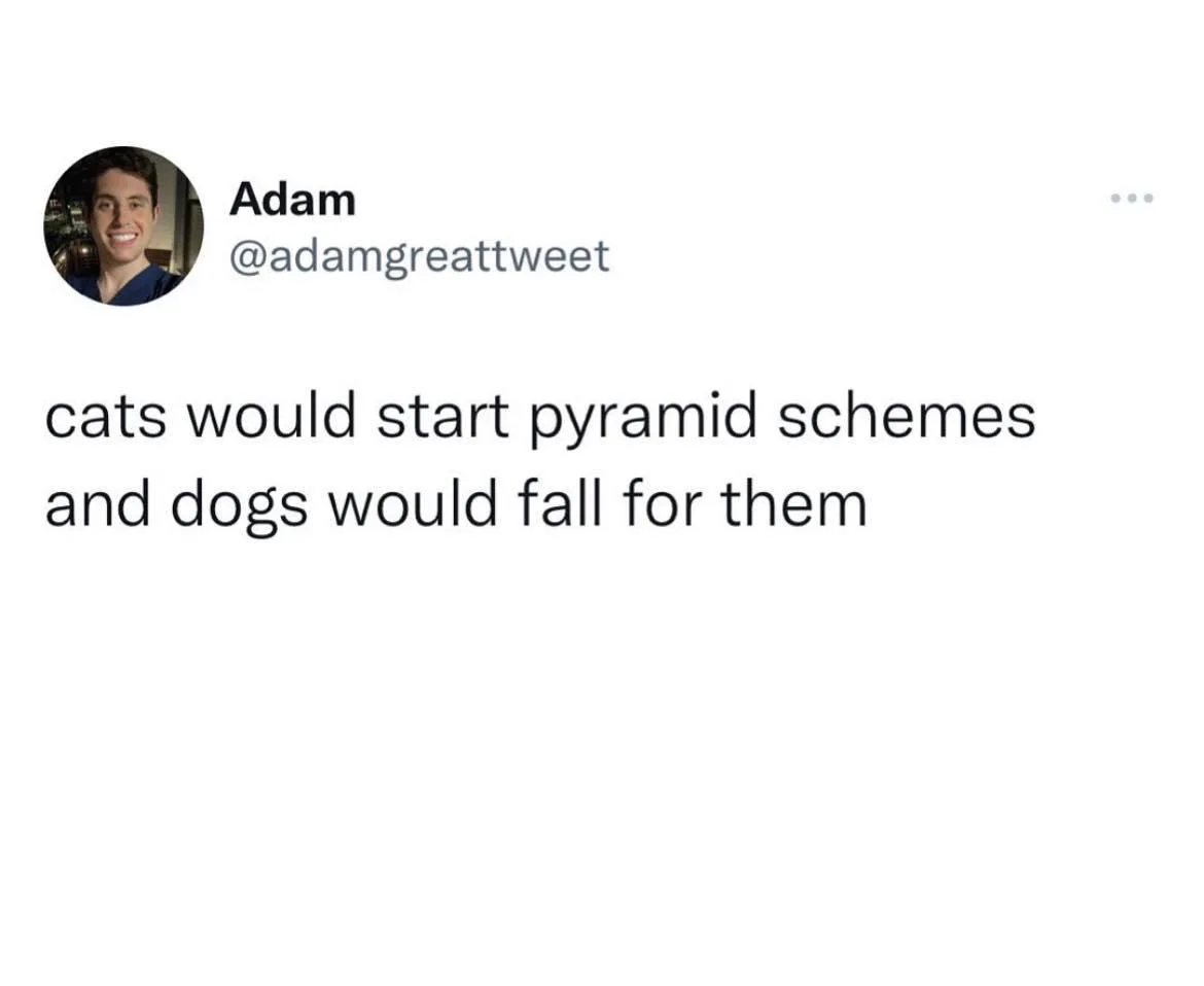 pyramid scheme meme