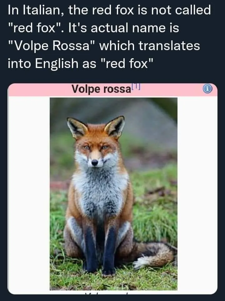 Italian (language) meme