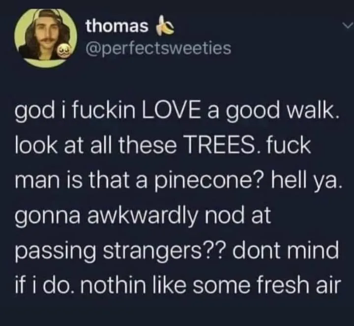 wilderness meme