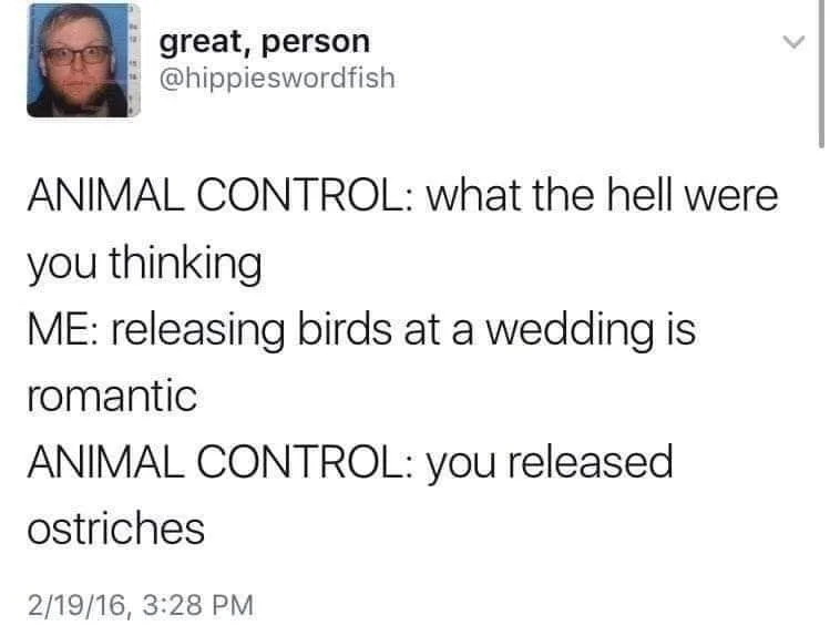 wedding meme