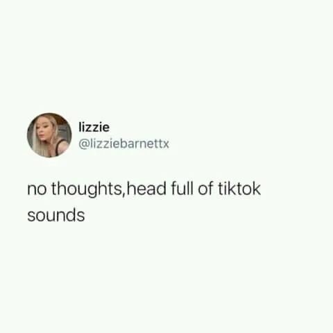 TikTok meme