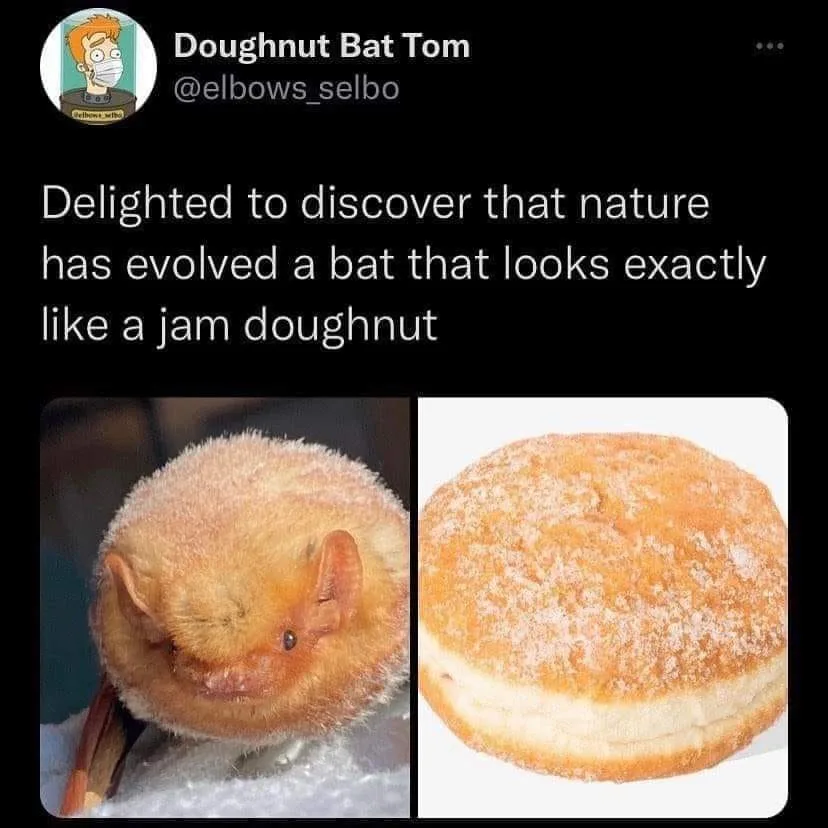 bat meme