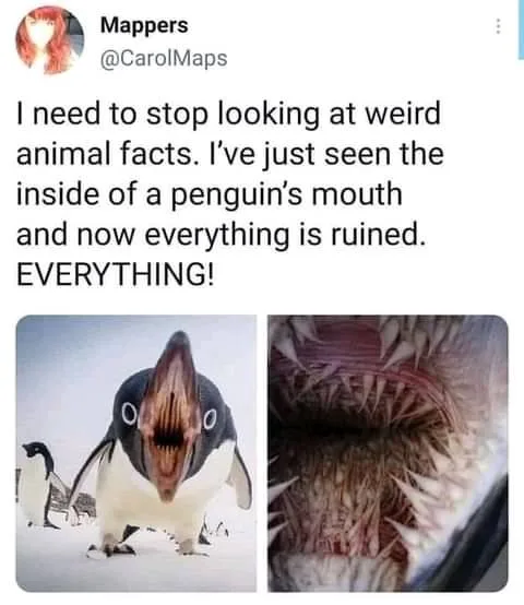 teeth meme