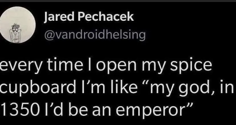 spice meme