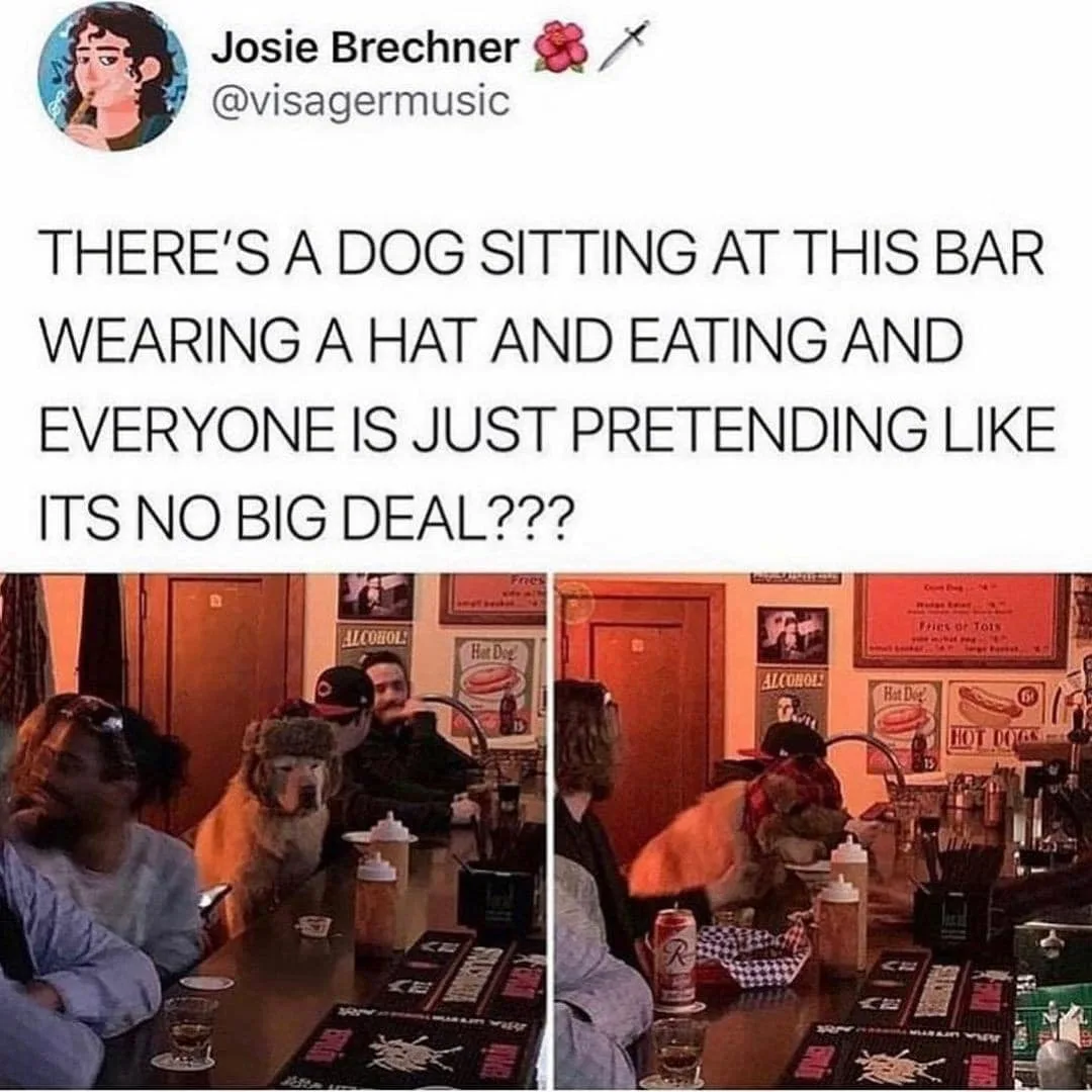 bar meme