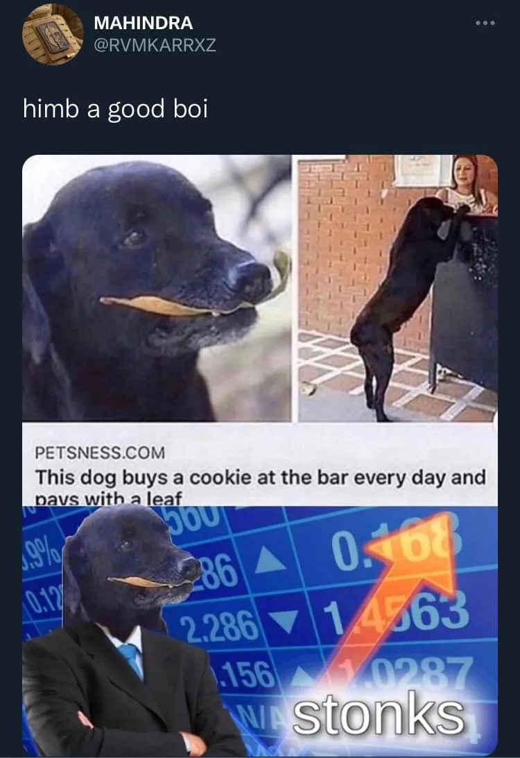 paying meme